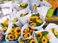 -循礼门鲜花花市(武汉循礼门店)