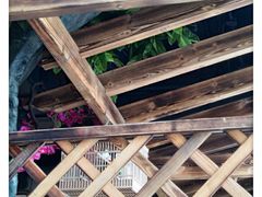 -草原塞蛮羊火锅城(港湾店)