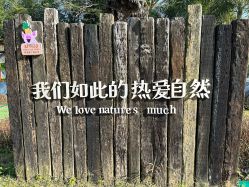 -阿菠萝小猪农场·萌宠乐园·亲子游·研学