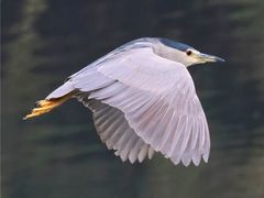 -重庆彩云湖湿地公园