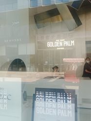 点击看大图 -金棕榈