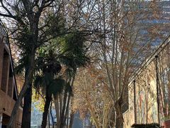 -西安电影制片厂