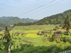 -灵山景区梯田