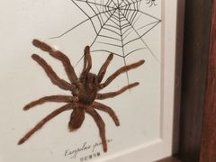 -幻樂園(南头古城店)