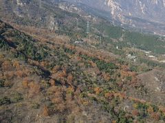 -北京鹫峰国家森林公园