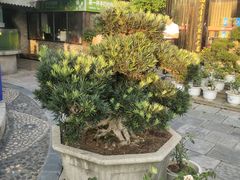 -天怡·鱼工厂(临江店)