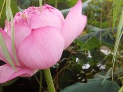 android_upload_pic-宝泉胜境旅游度假区