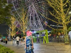 -南昌之星摩天轮