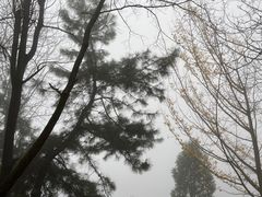 -秦岭终南山世界地质公园翠华山景区