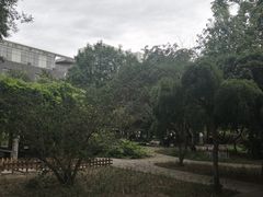 -北京师范大学附属中学
