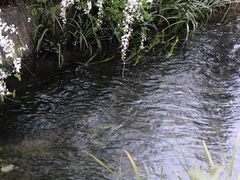 -中国茶叶博物馆(双峰馆区)