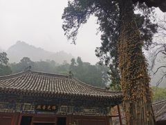 -北京上方山国家森林公园