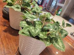 -海陆红火锅(汉兴路店)