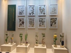 -广东中医药博物馆