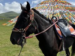 -扁都口生态休闲旅游区
