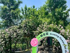 -太阳湾风景区
