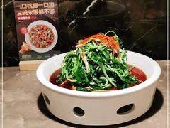 -新白鹿餐厅(金鹰新街口店)