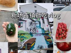 -王记海棠糕(新场古镇店)