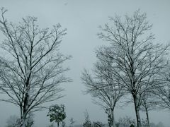 -钟山体育运动公园