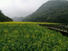 -广州市石门国家森林公园