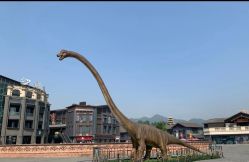 -恐龙探索乐园(磁器口店)
