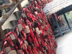 -苍山世界地质公园·石门关大峡谷