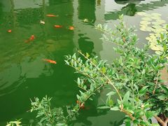 -东方艺术博物馆