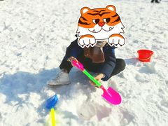 -绿野森林乐园冰雪季