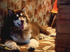 -玩坞轰趴馆·户外团建聚会主题生日派对馆(世豪广场店)