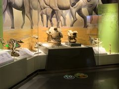 -国家自然博物馆