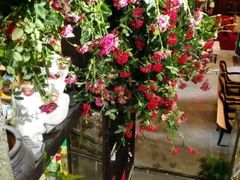 -范设计花园餐酒咖·中西餐·咖啡厅·酒馆