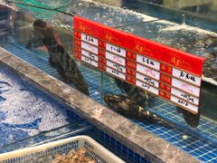 水产区-骏莱海鲜鱼港(五角场店)