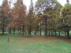 -贵阳市花溪国家城市湿地公园