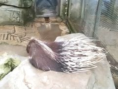 -黔灵山公园-南门售票处