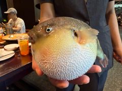 河豚宝宝-永安鱼庄·镇江菜(东吴路店)