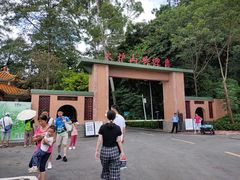 -火炉山森林公园