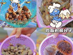 -亚龙湾热带天堂森林公园