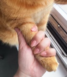 -今玥美甲美睫