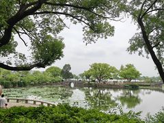 -无锡蠡湖国家湿地公园-蠡园
