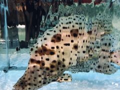 -一心烤肉(延安路店)