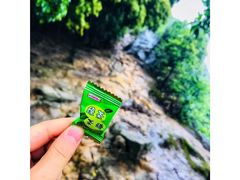 -南山植物园