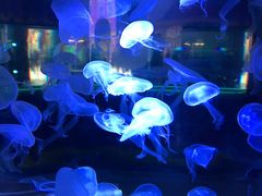 -横店影视城梦幻谷园区