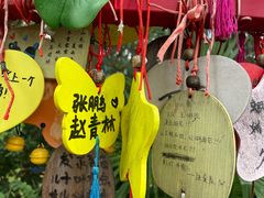 -九鼎轩脆毛肚火锅(南京东路店)