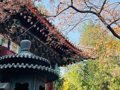 -香山公园