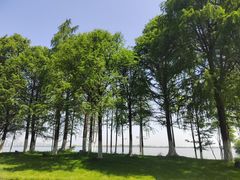 -瑶湖郊野森林公园
