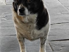 -逢源酒楼(东大街店)