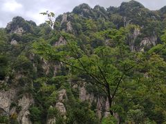 -王顺山国家森林公园