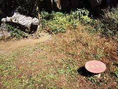 -山王坪喀斯特国家生态公园