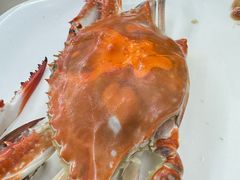 -望海潮海鲜店 特色家常菜(在海一方店)