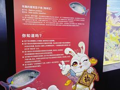 -上海海洋水族馆